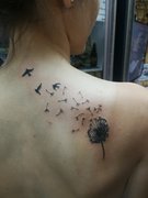 Татуировки от мастера Цилик Дмитрий. Фото #32748