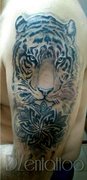 Татуировки от мастера Зюнов Дмитрий. Фото #25286