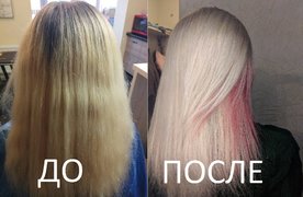 Колорирование волос от мастера Забаштанова Виктория. Фото #28558